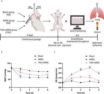 D-tagatose protects against oleic acid-induced acute respiratory distress syndrome in rats by activating PTEN/PI3K/AKT pathway